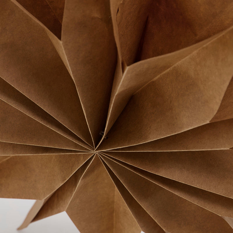 NATURAL PAPER STAR